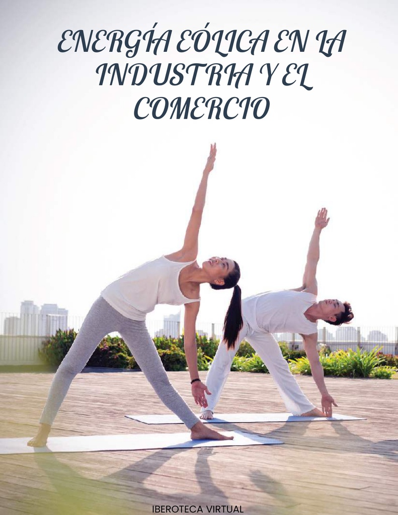 ENERGÍA EÓLICA EN LA INDUSTRIA Y EL COMERCIO