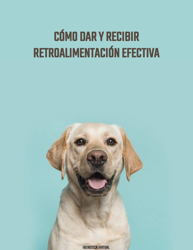 CÓMO DAR Y RECIBIR RETROALIMENTACIÓN EFECTIVA