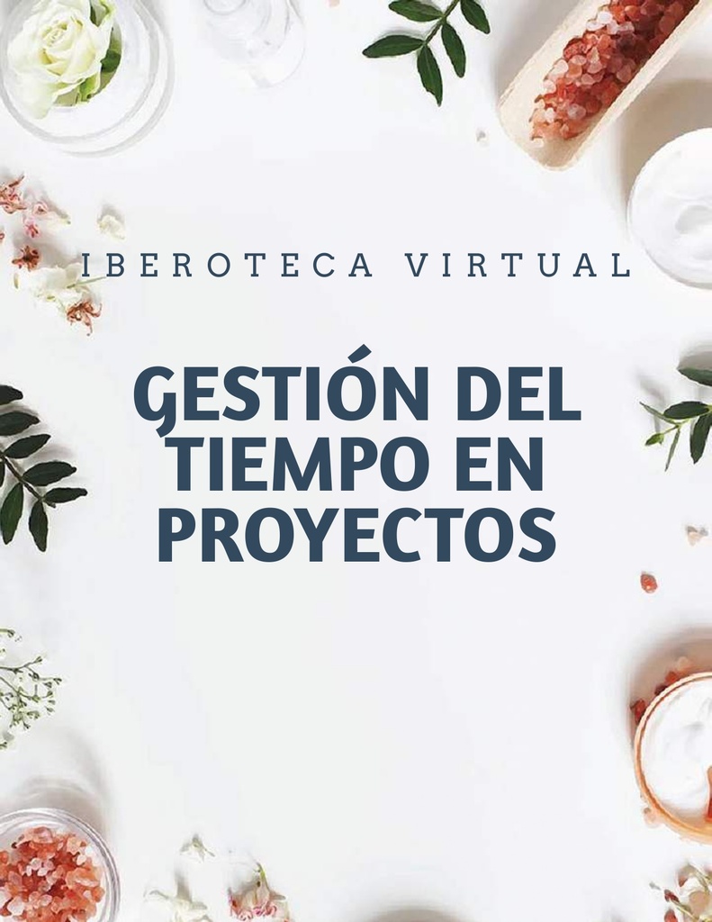 GESTIÓN DEL TIEMPO EN PROYECTOS