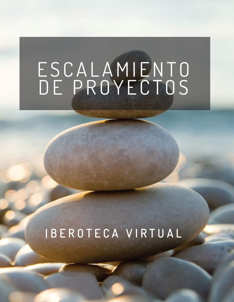 ESCALAMIENTO DE PROYECTOS