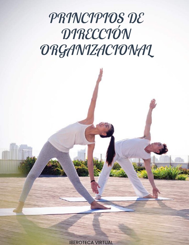 PRINCIPIOS DE DIRECCIÓN ORGANIZACIONAL