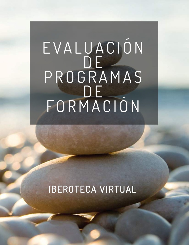 EVALUACIÓN DE PROGRAMAS DE FORMACIÓN