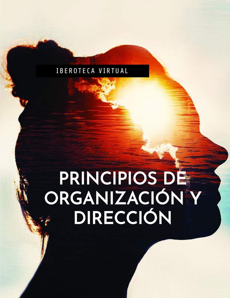 PRINCIPIOS DE ORGANIZACIÓN Y DIRECCIÓN