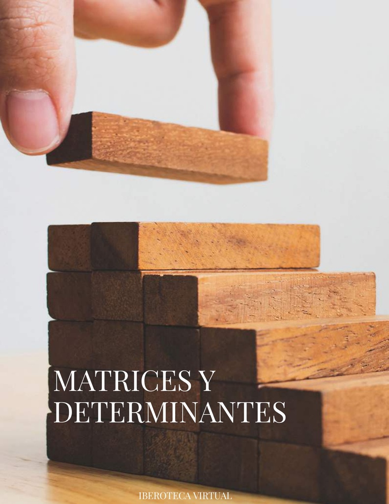 MATRICES Y DETERMINANTES