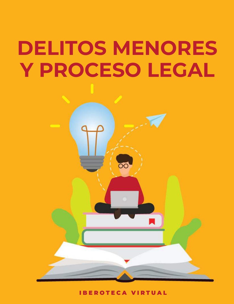 DELITOS MENORES Y PROCESO LEGAL