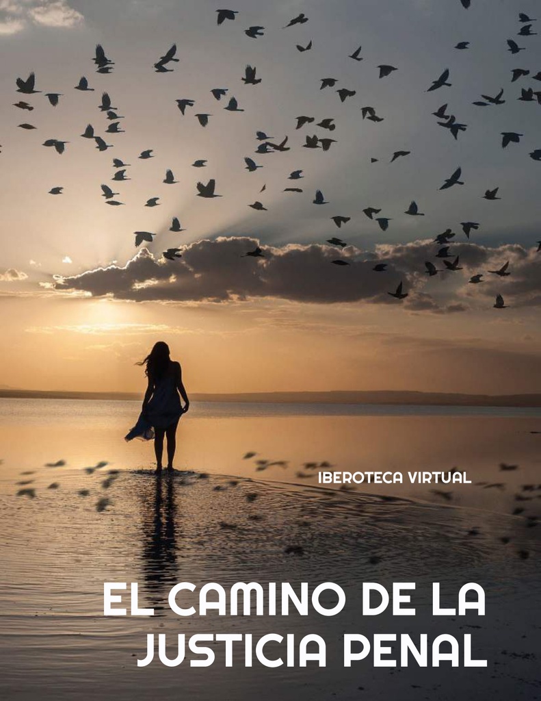 EL CAMINO DE LA JUSTICIA PENAL