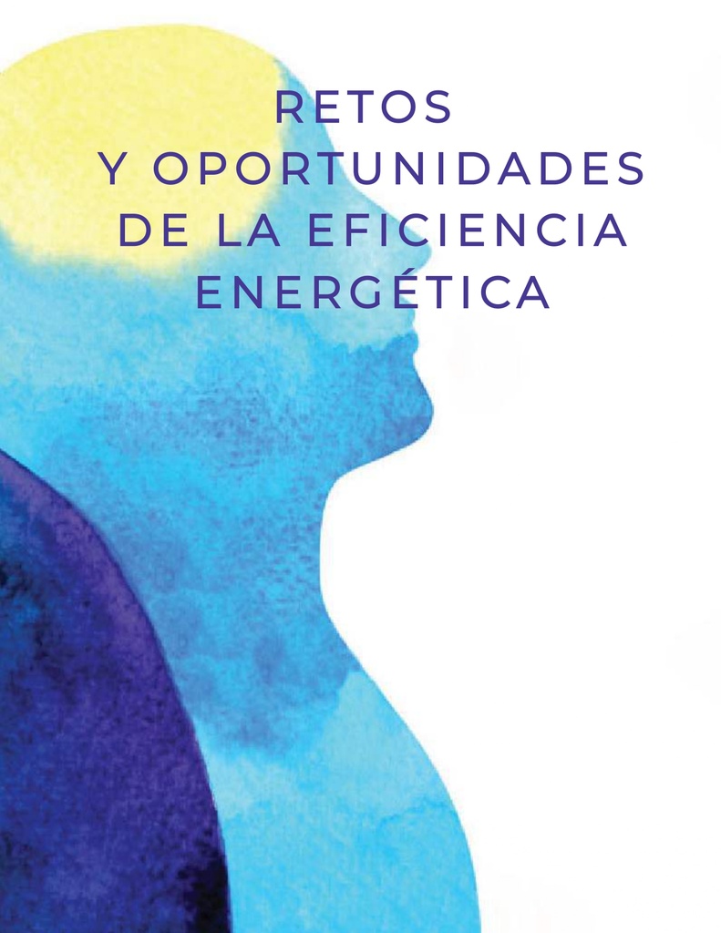 RETOS Y OPORTUNIDADES DE LA EFICIENCIA ENERGÉTICA