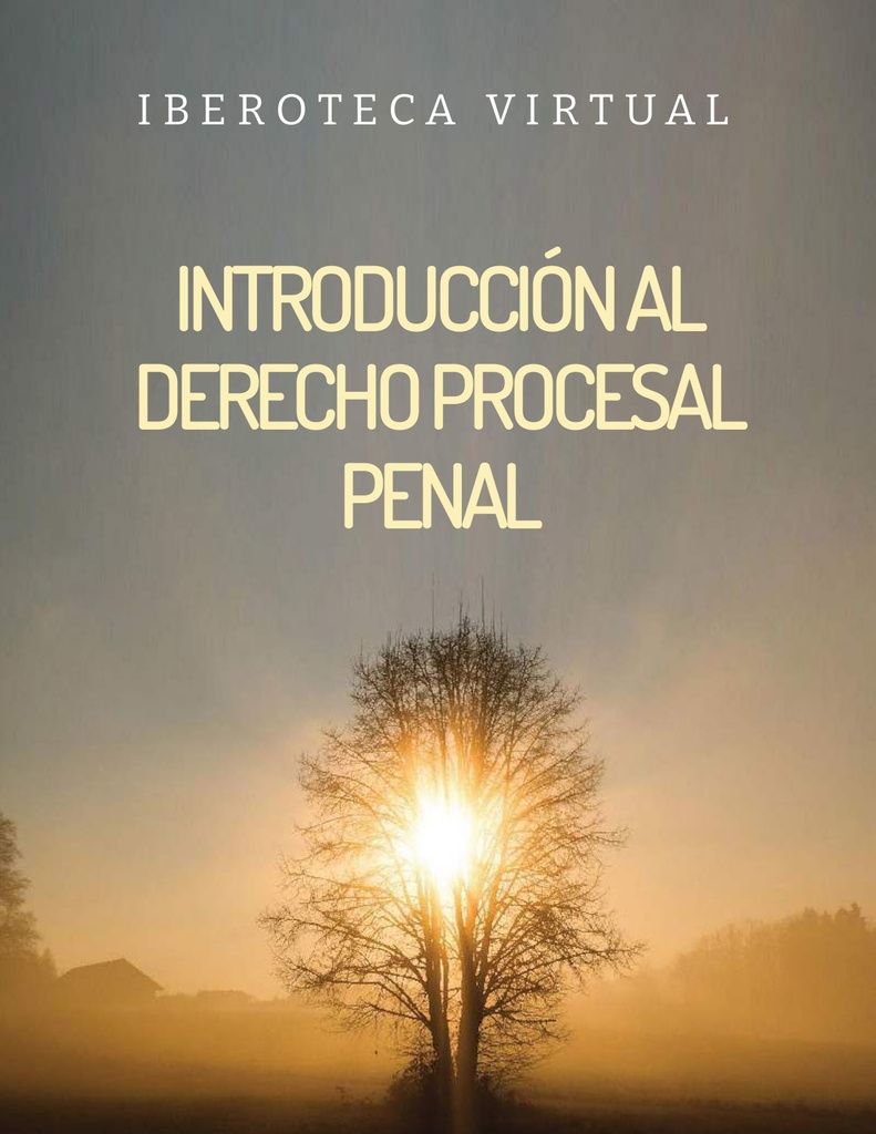 INTRODUCCIÓN AL DERECHO PROCESAL PENAL