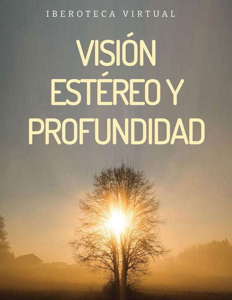 VISIÓN ESTÉREO Y PROFUNDIDAD