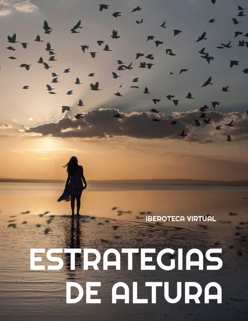 ESTRATEGIAS DE ALTURA
