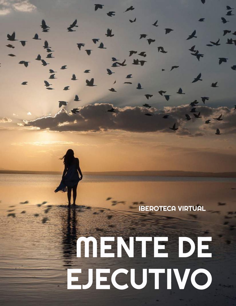 MENTE DE EJECUTIVO