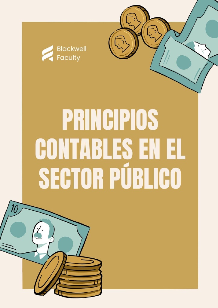 PRINCIPIOS CONTABLES EN EL SECTOR PÚBLICO