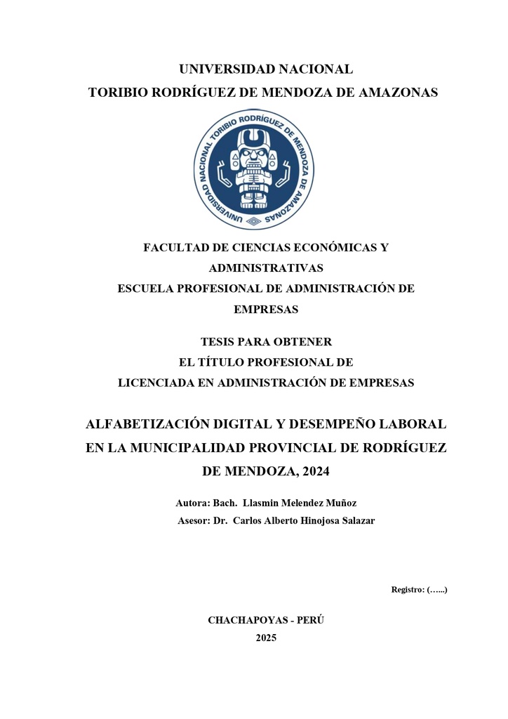 Alfabetización digital y desempeño laboral en la municipalidad provincial de Rodríguez de Mendoza, 2024