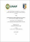 Plan de marketing para la exportación de cacao al mercado estadounidense, Iquitos 2020