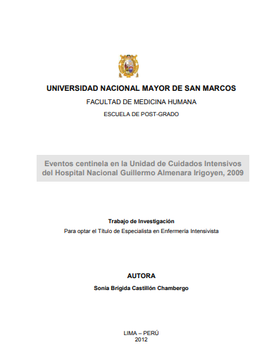 Eventos centinela en la Unidad de Cuidados Intensivos del Hospital Nacional Guillermo Almenara Irigoyen, 2009