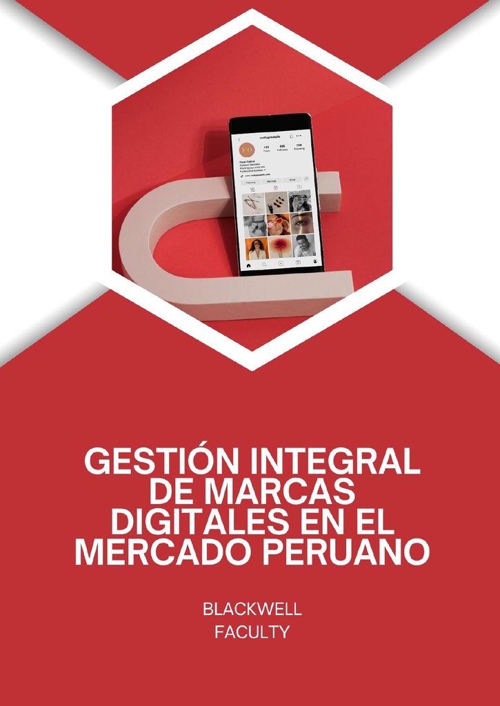 GESTIÓN INTEGRAL DE MARCAS DIGITALES EN EL MERCADO PERUANO
