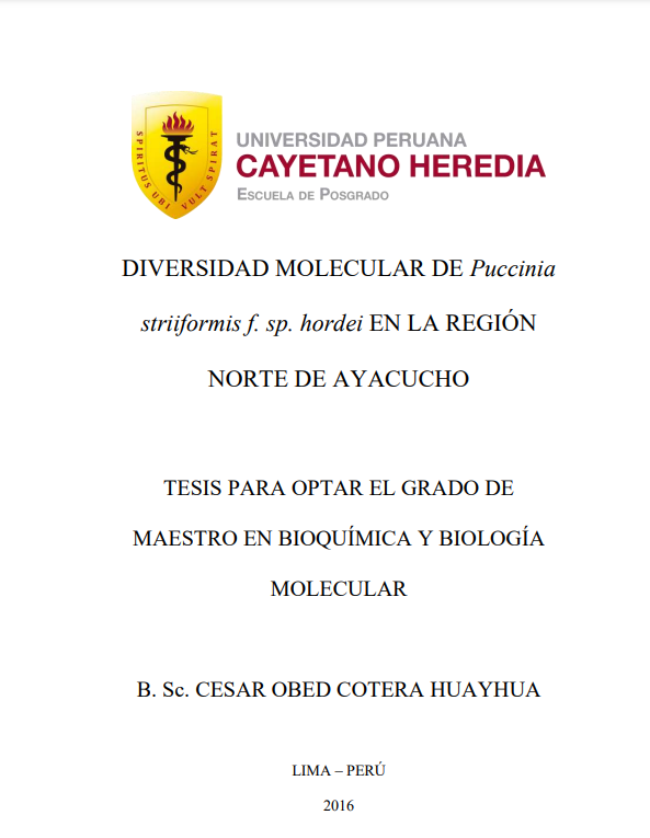 Diversidad molecular de Puccinia striiformis f. sp. hordei en la región norte de Ayacucho