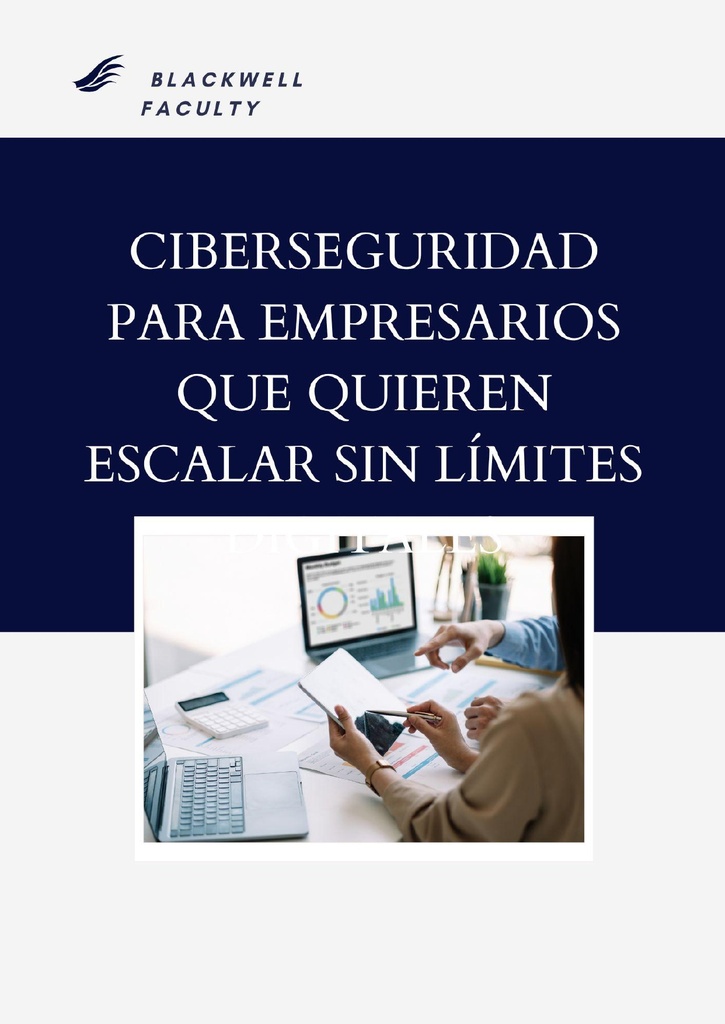 CIBERSEGURIDAD PARA EMPRESARIOS QUE QUIEREN ESCALAR SIN LÍMITES DIGITALES