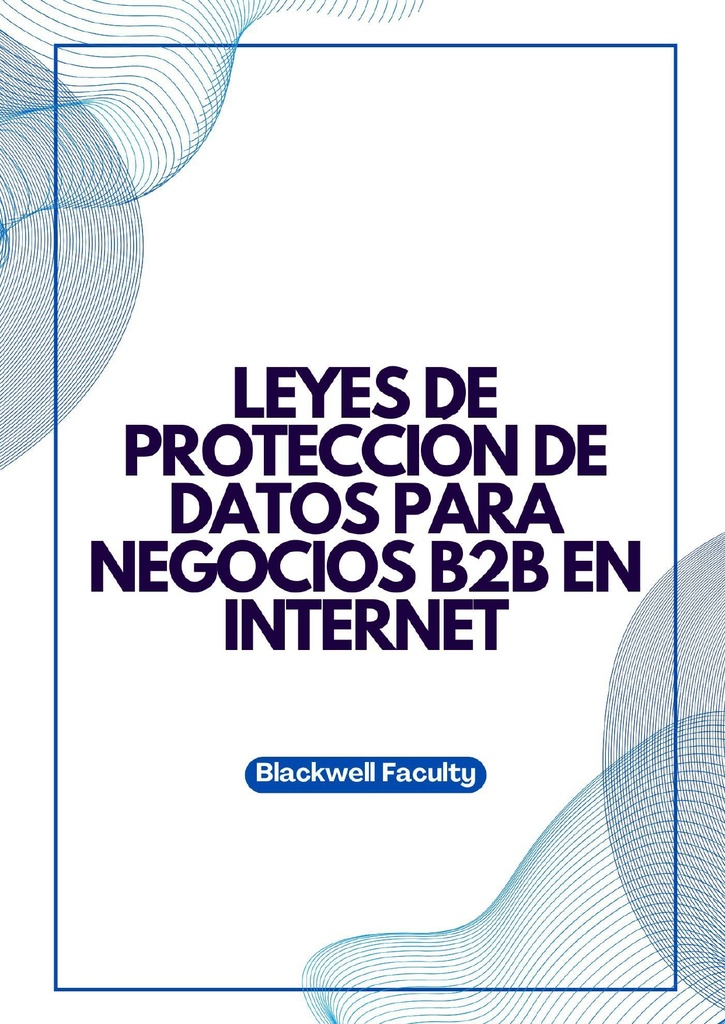LEYES DE PROTECCIÓN DE DATOS PARA NEGOCIOS B2B EN INTERNET