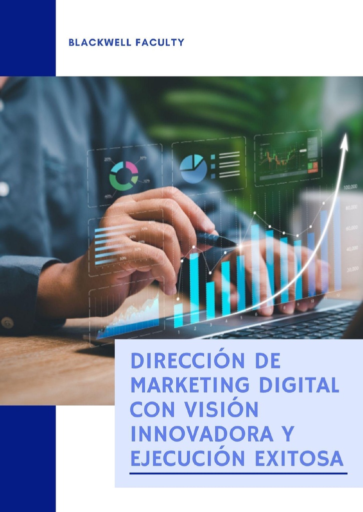 DIRECCIÓN DE MARKETING DIGITAL CON VISIÓN INNOVADORA Y EJECUCIÓN EXITOSA