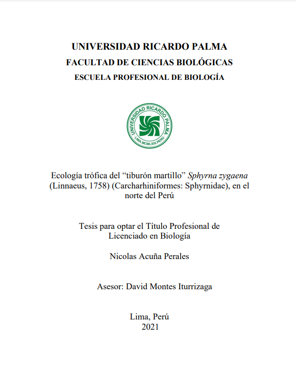 Ecología trófica del &quot;tiburón martillo&quot; Sphyrna zygaena (Linnaeus, 1758) en el norte del Perú