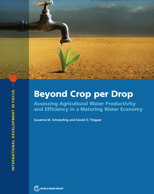 Beyond Crop per Drop : Assessing Agricultural Water Productivity and Efficiency in a Maturing Water Economy