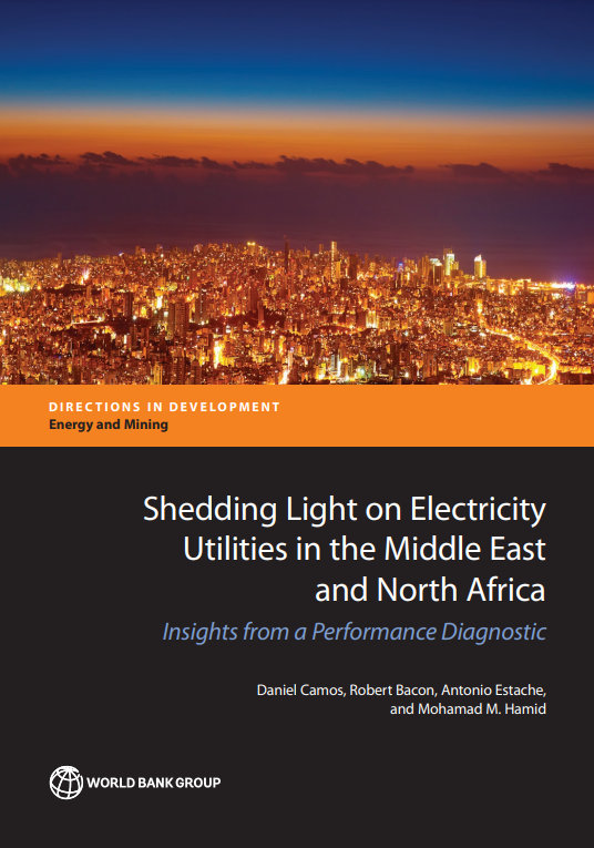 Shedding Light on Electricity Utilities in the Middle East and North Africa