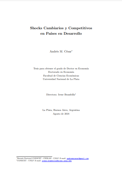 Shocks cambiarios y competitivos en países en desarrollo