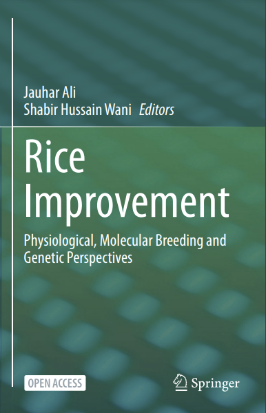 Rice Improvement