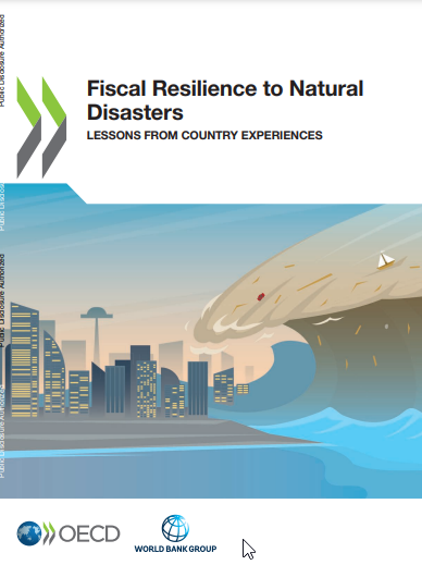 Fiscal Resilience to Natural Disasters