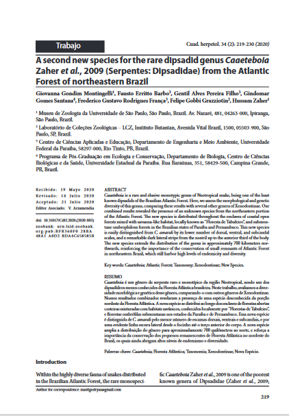 A second new species for the rare dipsadid genus Caaeteboia Zaher et al., 2009