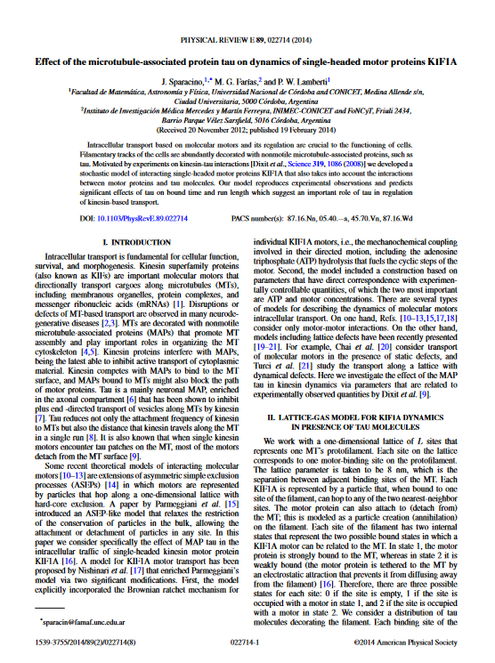 Effect of the microtubule-associated protein tau on dynamics of single-headed motor proteins KIF1A