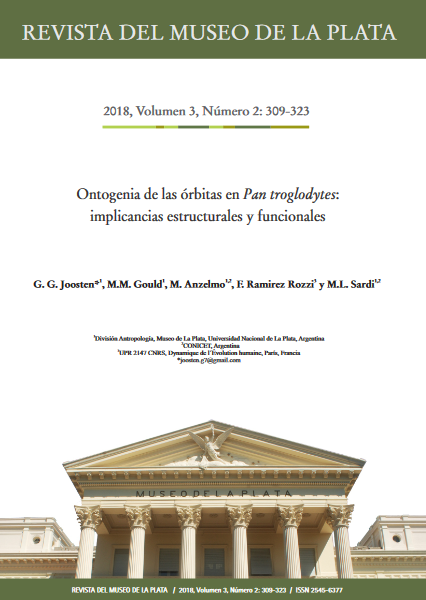 Ontogenia de las órbitas en Pan troglodytes: implicancias estructurales y funcionales