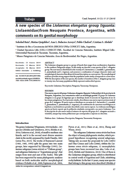 A new species of the Liolaemus elongatus group (Iguania: Liolaemidae) from Neuquén Province