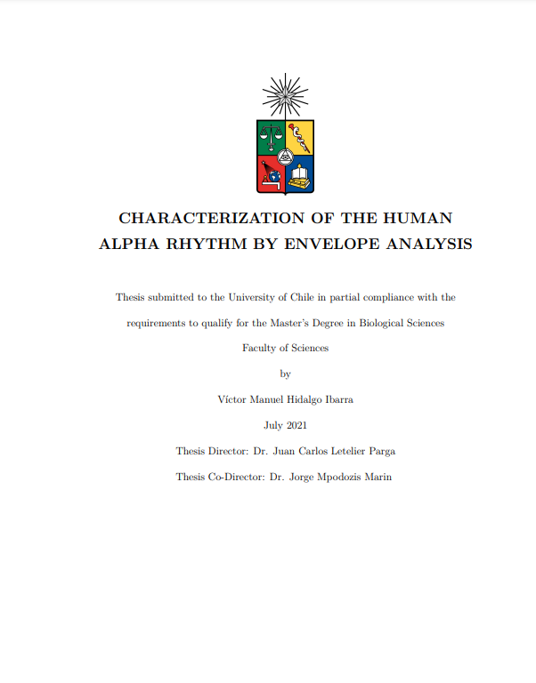 Characterization of the human alpha rhythm by envelope analysis