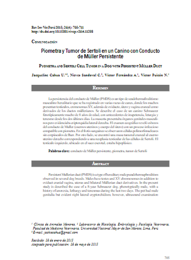 Piometra y Tumor de Sertoli en un Canino con Conducto de Muller Persistente