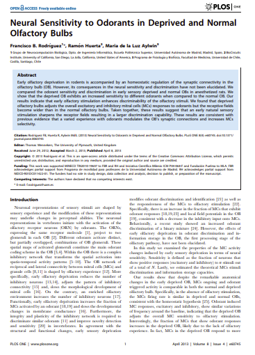 Neural Sensitivity to Odorants in Deprived and Normal Olfactory Bulbs