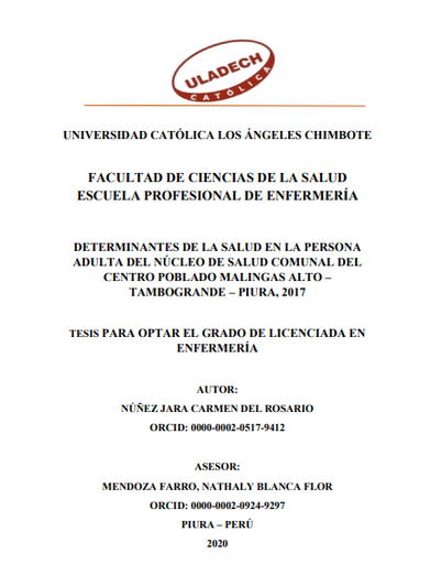 Determinantes de la salud en la persona adulta del núcleo de salud comunal del centro poblado Malingas