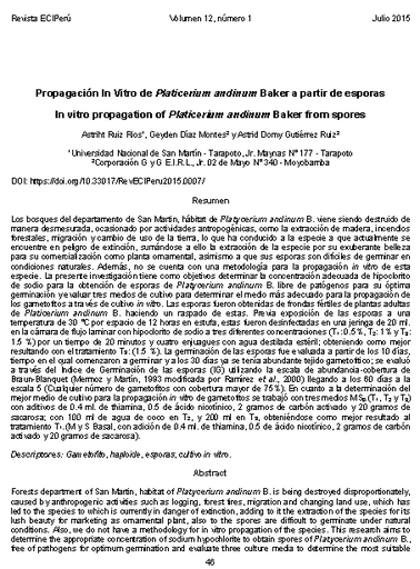 Propagación In Vitro de Platicerium andinum Baker a partir de esporas