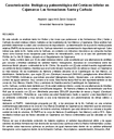 Caracterización litológica y paleontológica del Cretáceo inferior en Cajamarca: Las formaciones Santa y Carhuáz