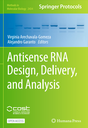 Antisense RNA Design, Delivery, and Analysis