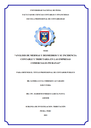 Análisis de mermas y desmedros y su incidencia contable y tributaria en las empresas comerciales piuranas