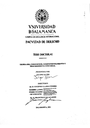 Teoría del consumidor, sobreendeudamiento y procedimiento concursal