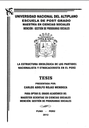 La estructura ideológica de los partidos nacionalista y etnocacerista en el Perú