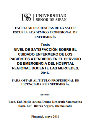 Nivel de satisfacción sobre el cuidado enfermero de los pacientes atendidos en el servicio de emergencia del Hospital Regional Docente las Mercedes, 2016