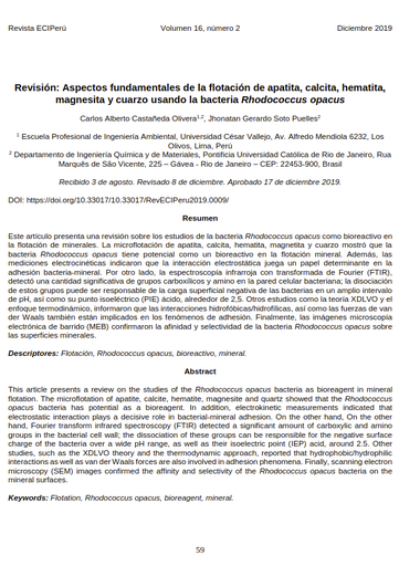 Revisión: Aspectos fundamentales de la flotación de apatita, calcita, hematita, magnesita y cuarzo usando la bacteria Rhodococcus opacus