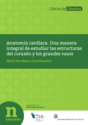 Anatomía cardíaca