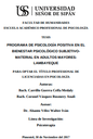 Programa de psicología positiva en el bienestar psicológico subjetivo- material en adultos mayores-Lambayeque