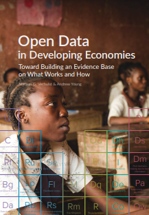 Open Data in Developing Economies