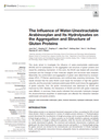 The Influence of Water-Unextractable Arabinoxylan and Its Hydrolysates on the Aggregation and Structure of Gluten Proteins